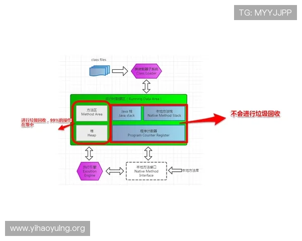 壹号网信息：深入了解壹号网平台的核心服务与用户体验