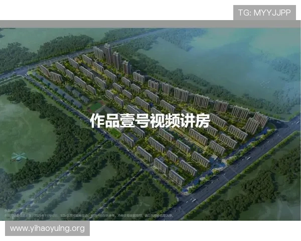 作品壹号房子在市场中的口碑如何全面分析与优缺点总结